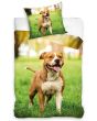 Dětské povlečení AMERICKÝ STAFORD, fototisk, zelené, bavlna hladká, 140x200cm + 70x90cm 