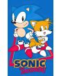 Dětský froté ručník JEŽEK SONIC A TAILS, modrý 30x50cm