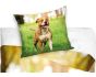 Dětské povlečení AMERICKÝ STAFORD, fototisk, zelené, bavlna hladká, 140x200cm + 70x90cm 