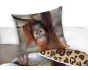 Dětské povlečení OPICE ORANGUTAN, fototisk, hnědé, bavlna hladká, 140x200cm + 70x90cm 