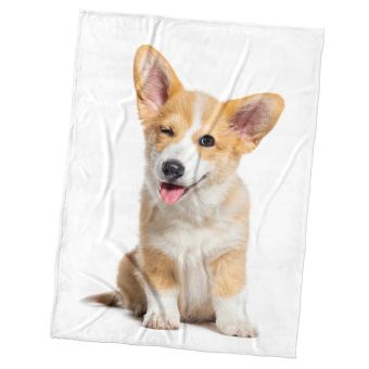 Dětská deka z mikrovlákna (coral fleece) PSÍ VELIČENSTVO, bílá, 150x200cm