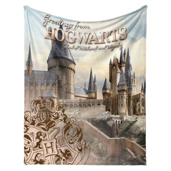 Dětská deka z mikrovlákna (coral fleece) HARRY POTTER BRADAVICKÉ TAJEMSTVÍ, béžová, 130x160cm
