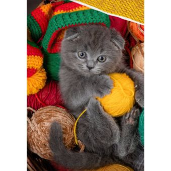 Dětské povlečení KOŤÁTKO V KOŠÍKU S KLUBÍČKY, fototisk, žluté, bavlna hladká, 140x200cm + 70x90cm 