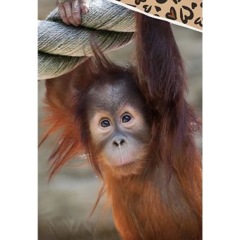 Dětské povlečení OPICE ORANGUTAN, fototisk, hnědé, bavlna hladká, 140x200cm + 70x90cm 