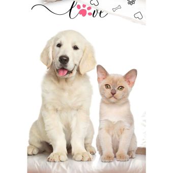 Dětské povlečení ŠTĚŇÁTKO A KOŤÁTKO, fototisk, bílé, bavlna hladká, 140x200cm + 70x90cm 