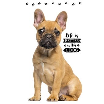 Dětský froté ručník FRANCOUZSKÝ BULDOČEK, bílý, digitál, 30x50cm