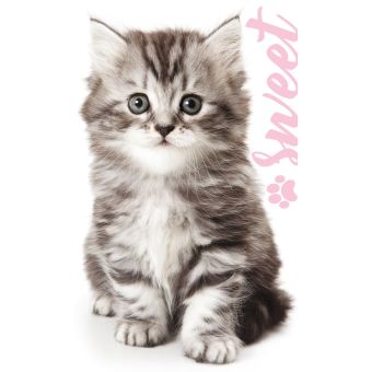 Dětský froté ručník KOCOUREK MOUREK, bílý 30x50cm