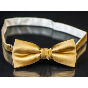 Motýlek pánský AMJ zlatý MP011