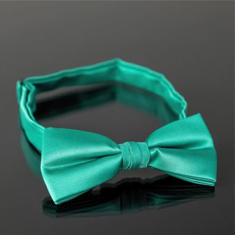 Motýlek pánský AMJ světle zelený MP028