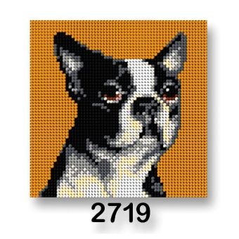 Vyšívací předloha, obrázek na vyšívání 70244/2719 Bostonský teriér, oranžová, 15x15cm