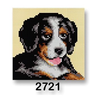 Vyšívací předloha, obrázek na vyšívání 70244/2721 Bernský salašnický pes, hnědo-béžová, 15x15cm