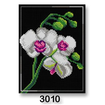 Vyšívací předloha, obrázek na vyšívání 70246/3010 orchidea, bílo-černá, 18x24cm
