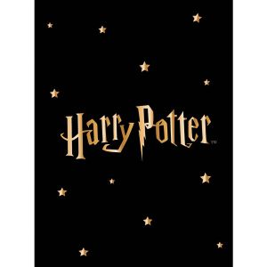 Deka z mikrovlákna (mikroplyš) dětská HARRY POTTER GOLD STARS, černá, 130x170cm