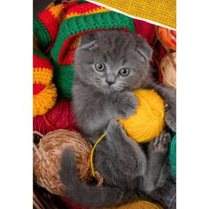 Dětské povlečení KOŤÁTKO V KOŠÍKU S KLUBÍČKY, fototisk, žluté, bavlna hladká, 140x200cm + 70x90cm 