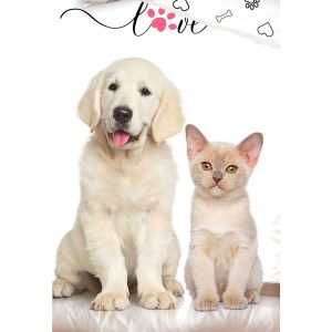 Dětské povlečení ŠTĚŇÁTKO A KOŤÁTKO, fototisk, bílé, bavlna hladká, 140x200cm + 70x90cm 