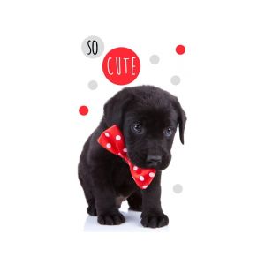 Dětský froté ručník ROZTOMILÉ ŠTĚŃÁTKO, bílá, digitál, 30x50cm