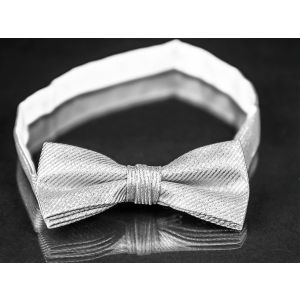 Motýlek pánský AMJ stříbrný vzor MP032