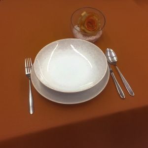 Nešpinivý / teflonový látkový ubrus UNI 3095 SKOŘICOVÁ, (více rozměrů)