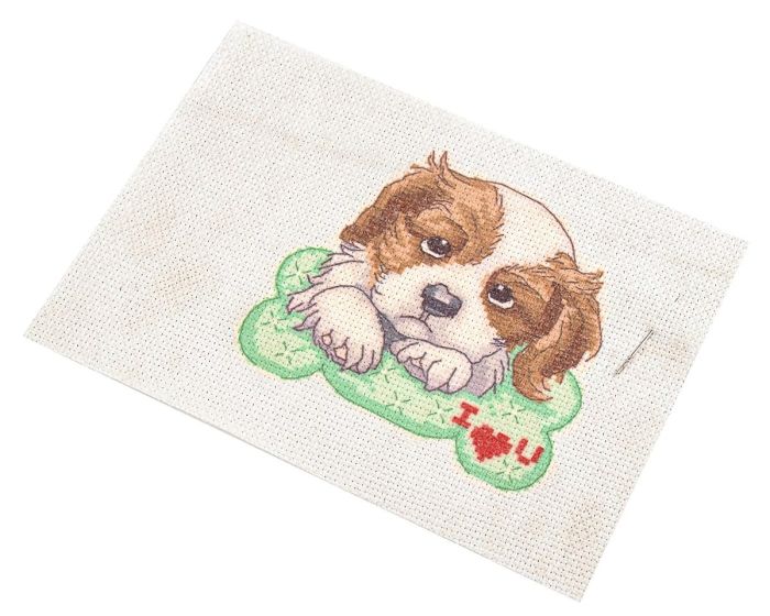 Dětská vyšívací sada s předtištěným motivem 020736/9, pejsek na peřince (předtisk, jehla a nitě), 14x20cm