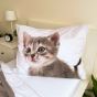Dětské povlečení KITTEN GREY, koťata na bílé, fototisk, bavlna hladká, 140x200cm + 70x90cm 