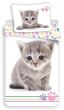 Dětské povlečení KITTEN COLOUR, šedé kotě na bílé, fototisk, bavlna hladká, 140x200cm + 70x90cm