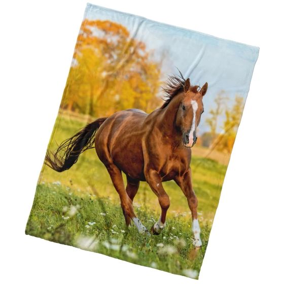 Dětská deka z mikrovlákna (coral fleece) KŮŇ RYZÁK NA LOUCE, hnědá, 150x200cm