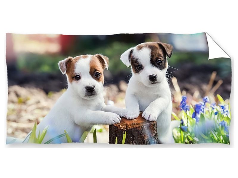 Dětská plážová osuška BRÁŠKOVÉ JACK RUSSEL TERIÉR, zelená, froté, 70x140cm