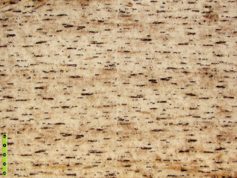 Plyš hladký SANTAL 3, béžovo-hnědý, šíře 150cm (metráž)