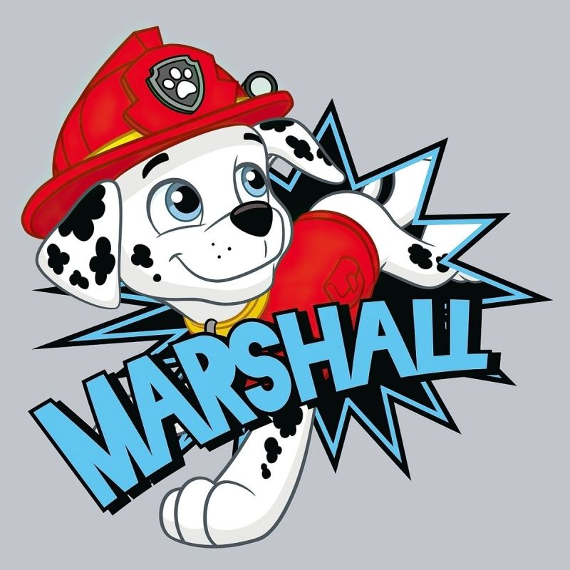 Magický dětský froté ručník TLAPKOVÁ PATROLA  MARSHALL, šedý, 30x30cm