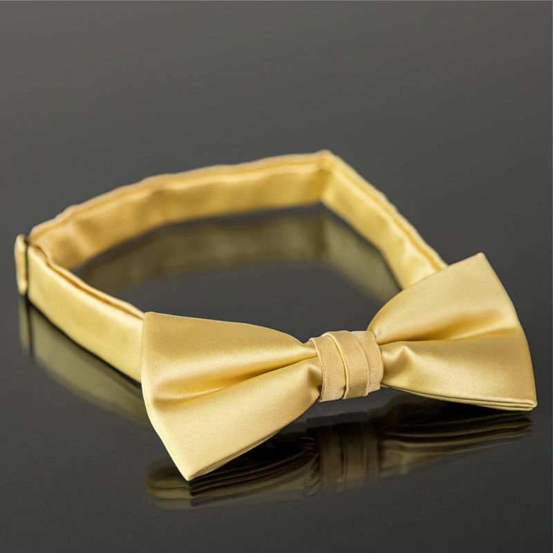 Motýlek pánský AMJ žlutý MP029