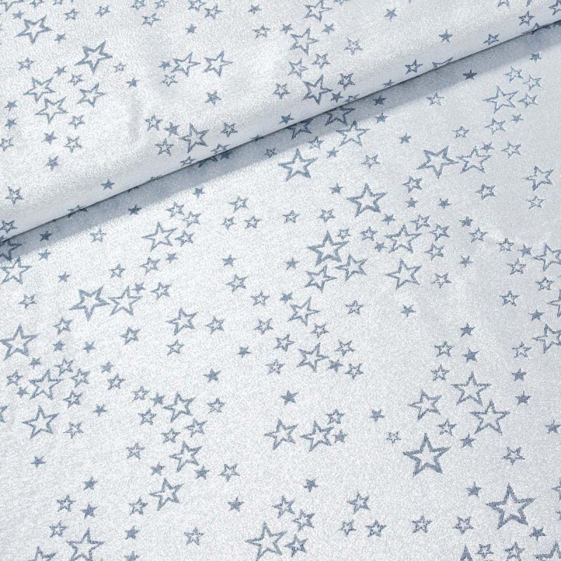 Polyesterové plátno s teflonovou úpravou / ubrusovina vánoční ESTER 4 oboustranná, hvězdičky, modrá / stříbrná, š.190cm (látka v metráži)